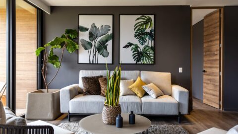 Modern living room with a light gray sofa, assorted cushions, two plants, and a low round table. Two botanical prints hang on the dark wall. Natural light enters through large windows.
